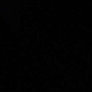 Meet your Posher, Chloe